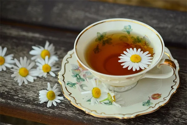 人工植物でもメンタルに効果あり！本物と変わらないリラックス効果を得る3つの方法