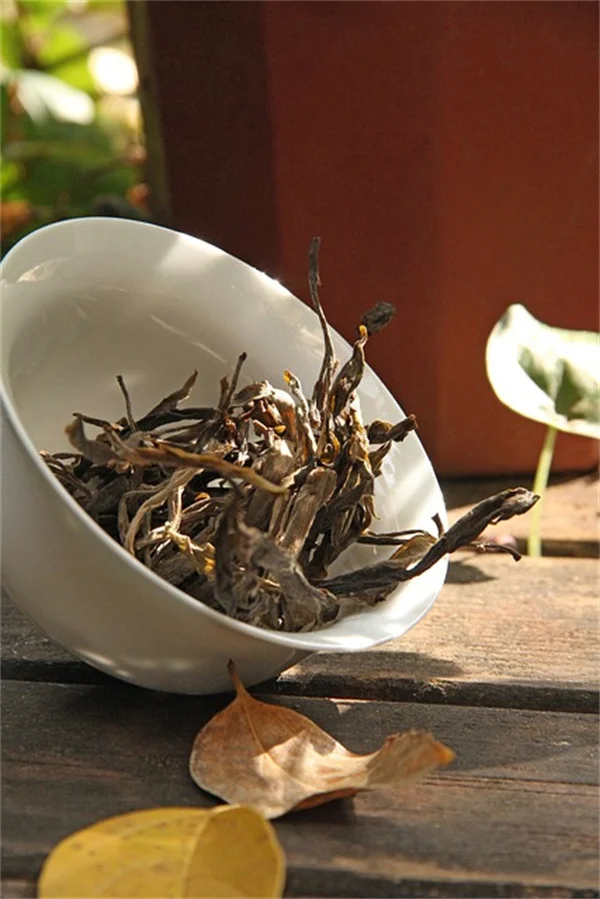 人工植物でもメンタルに効果あり！本物と変わらないリラックス効果を得る3つの方法