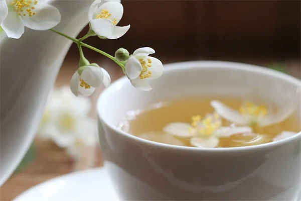 Pelargonsjukaって知ってる？北欧の冬越し術でゲラニウムを長く楽しむコツ