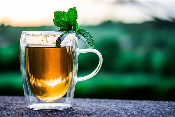 アジサイが茶色くなる？私が実践してきた復活方法